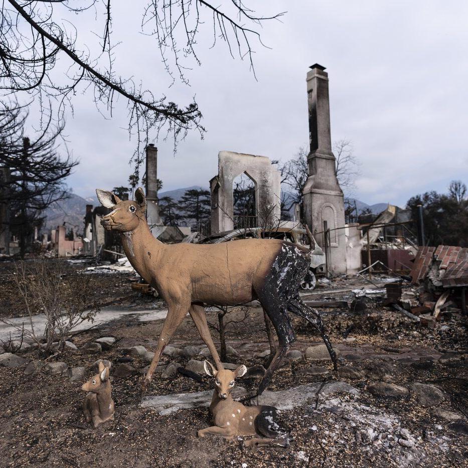 PHOTO COLLECTION: California Wildfires Aftermath